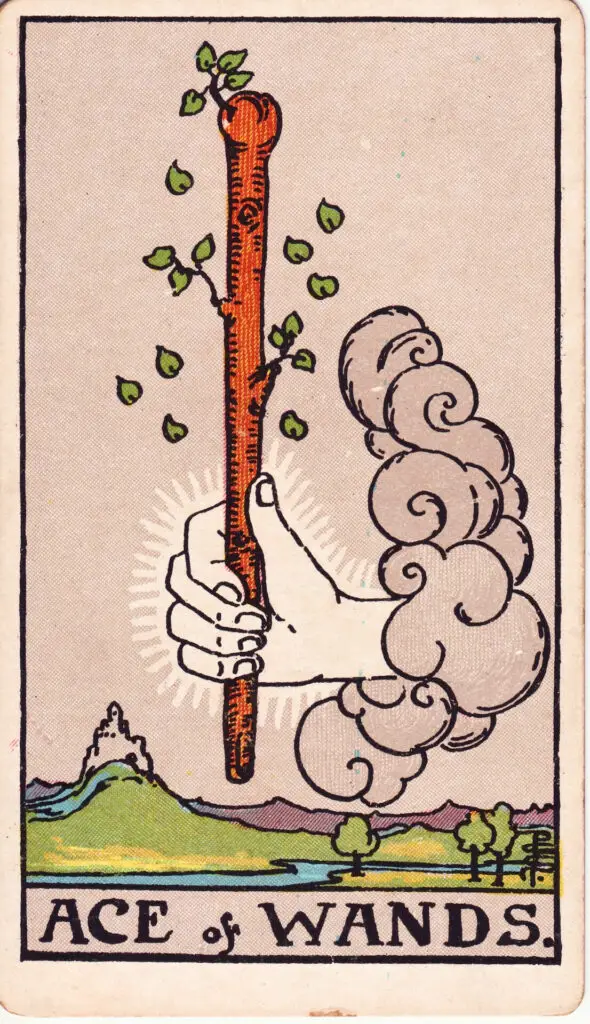 Illustration de l’As de Bâtons du tarot Rider-Waite : une main émerge d’un nuage et tient un bâton fleuri, symbolisant un nouveau départ, la vitalité et l’élan créatif.