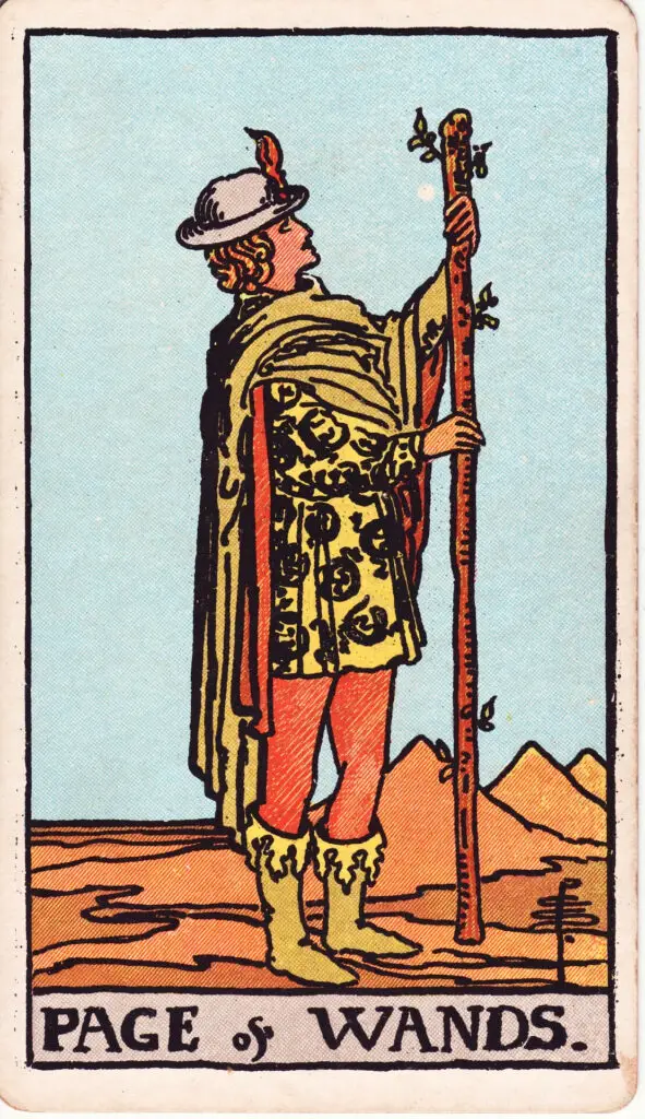 Illustration du Valet de Bâtons du tarot Rider-Waite : un jeune personnage debout dans un désert tient un bâton fleuri, regardant vers le haut avec curiosité et inspiration.